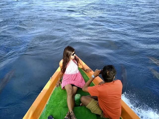 Dolphin Cruise
