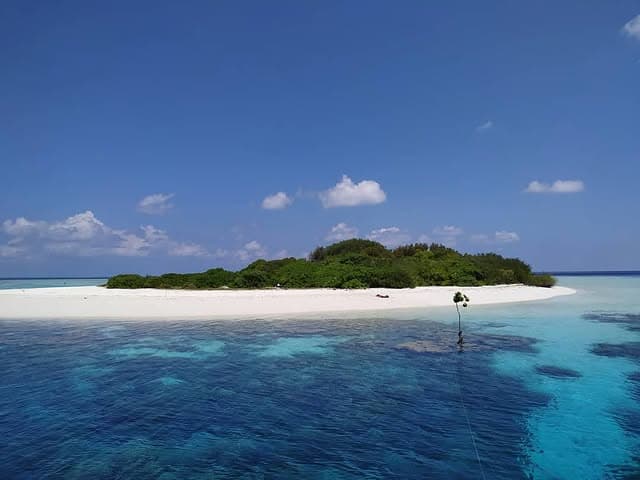 Sandbank